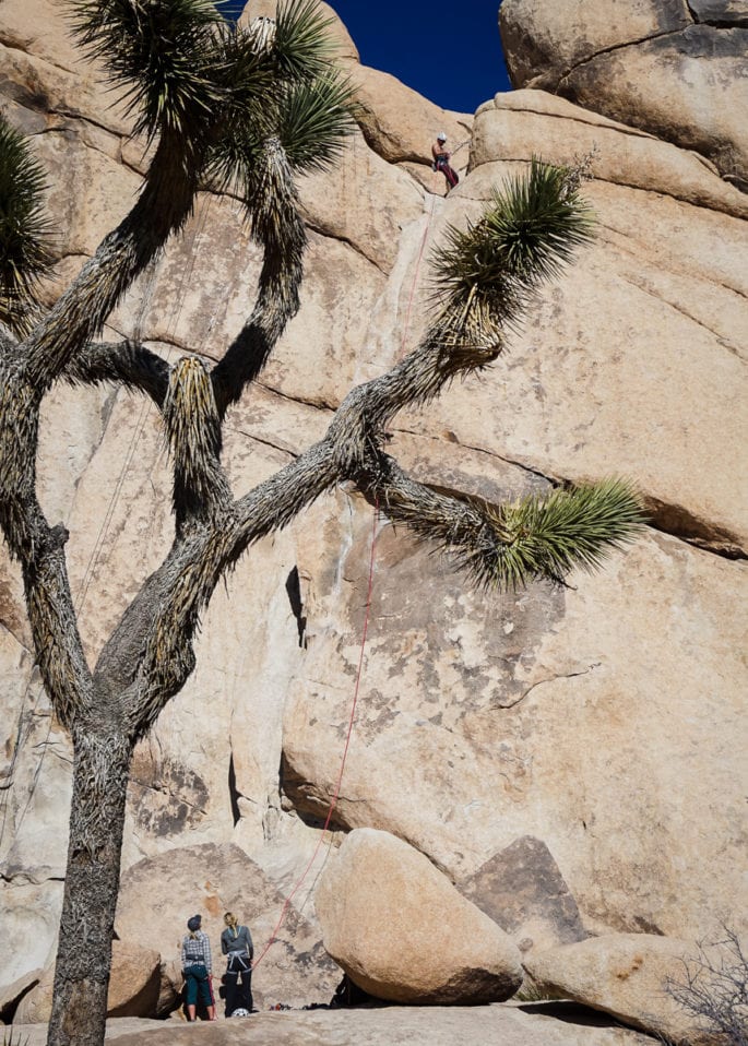 Rock Climbing in Joshua Tree National Park