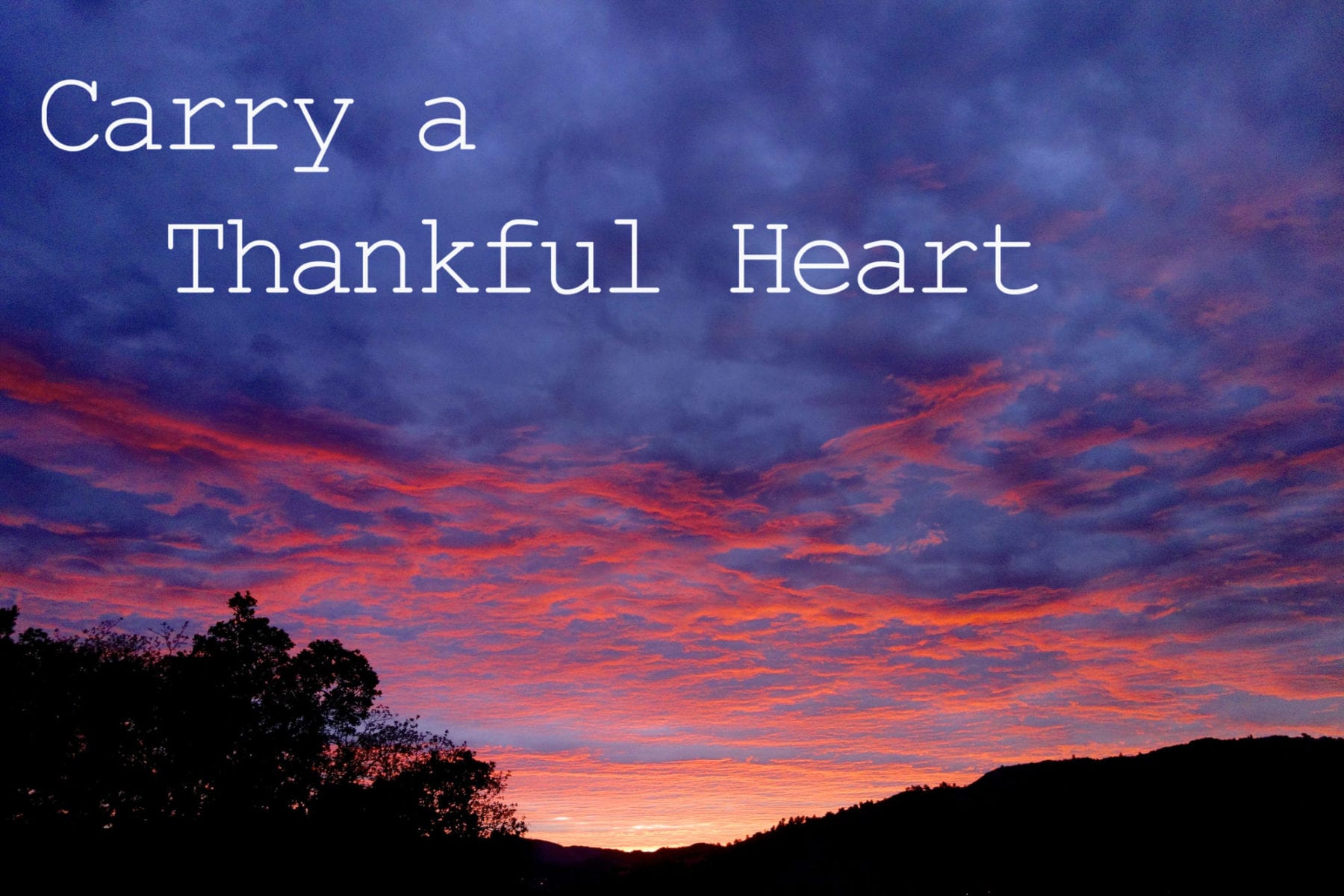 CarryaThankfulHeart