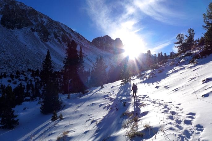 Last sunlight - North Fork Big PIne Creek Trail