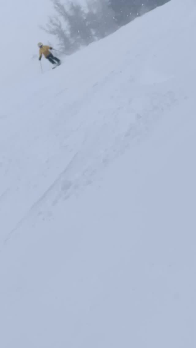 Anyone else out there dreaming of this? SOON!!! Getting ready!
Coyote off of High Five Express @mammothmountain - December 2024