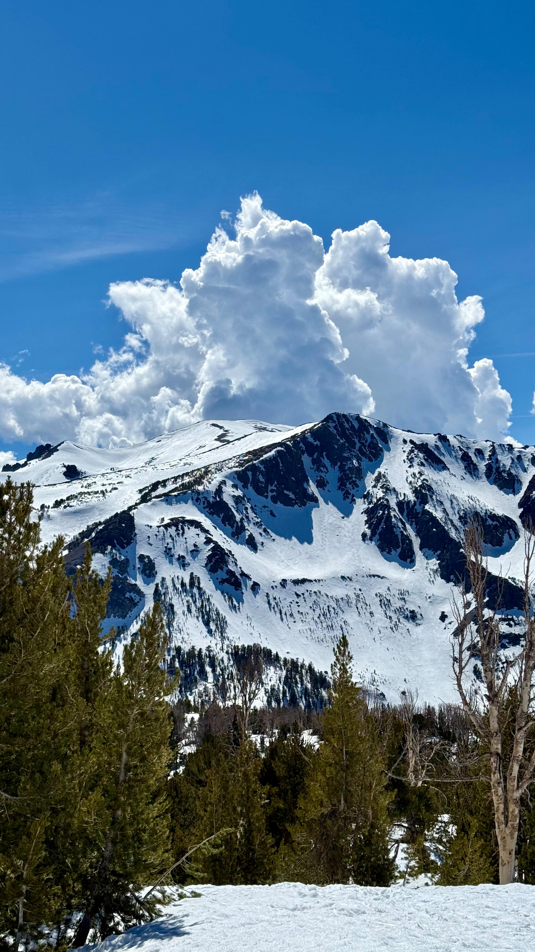 @junemountain never disappoints with all the views, nice groomers, friendly staff, good coverage, and no crowds. Turn baby turn those Rossignol 110 Sender Free⛷️❤️🤩