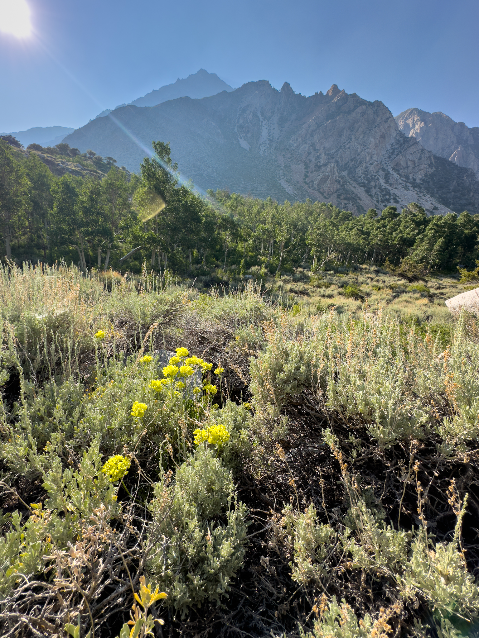 Horton Creek Drainage