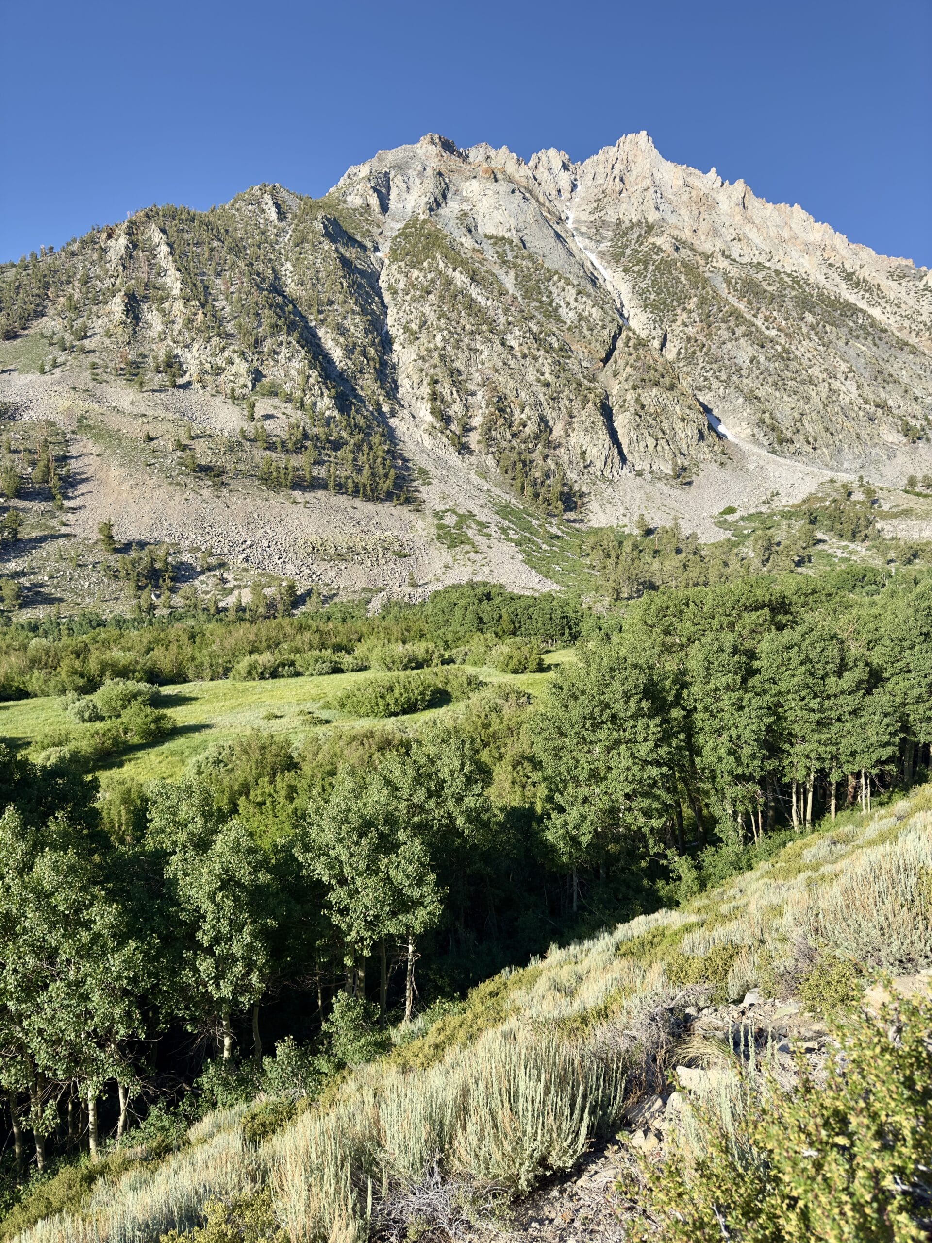 Basin Mountain from Horton Creek Drainage