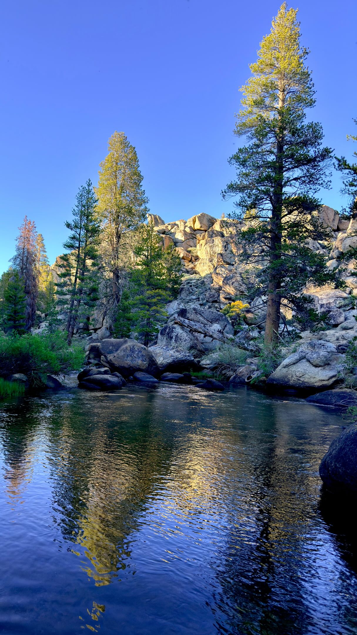 Happy Hike Naked Day! Happy Summer Solstice AND Happy Father’s Day from the eastern Sierra. ⛰️❤️🌅🏕️💦🏃‍♀️

A recap of the good stuff from my hike last week. Heading out for a longer jaunt in the high Sierra that will be a true test of what I am made of. 😬

And to take a direct quote from @katiegerber 
“May the solstice bring you space to breathe, space to explore, and the grit to handle whatever the trail throws your way.”

You all rock!
